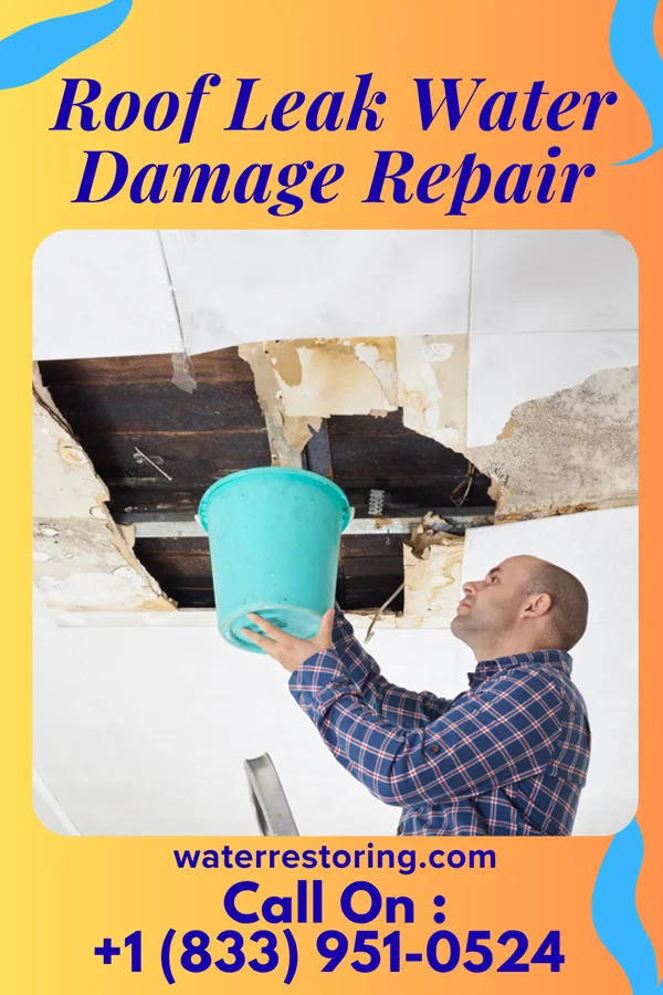 Roof Leak Water Damage Repair in Cocoa Beach, FL