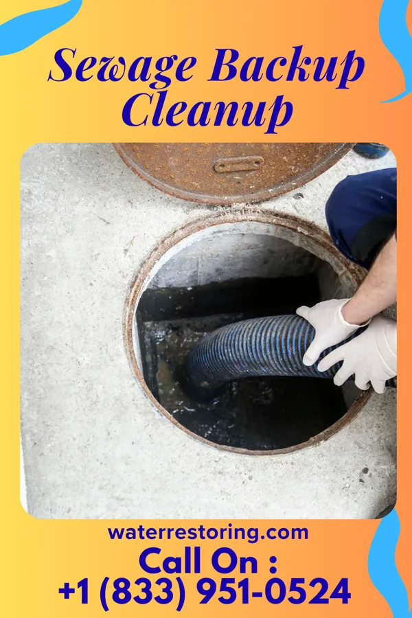 Sewage Backup Cleanup in Cocoa Beach, FL
